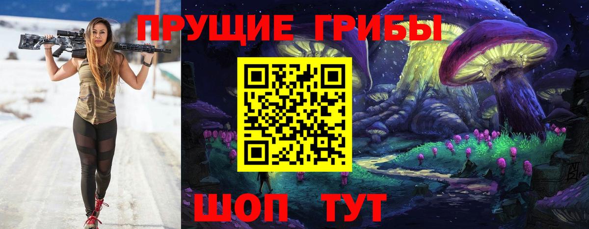 Галлюциногенные грибы GOLDEN TEACHER  Вход с VPN  Галлюциногенные грибы Cubensis  Новороссийск 